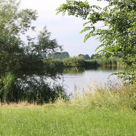 Farm Fazant * Genderen