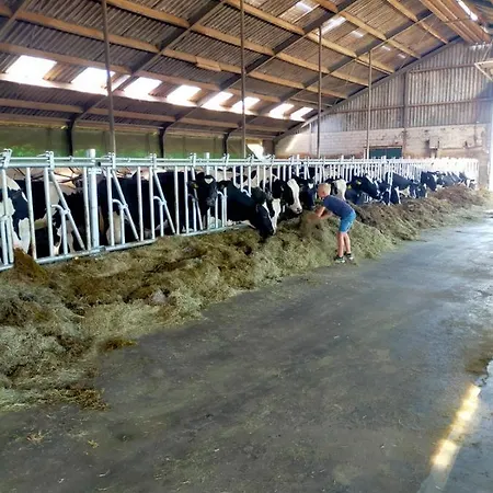 Farm Fazant Genderen