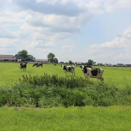 Luxe tent Farm Fazant Genderen